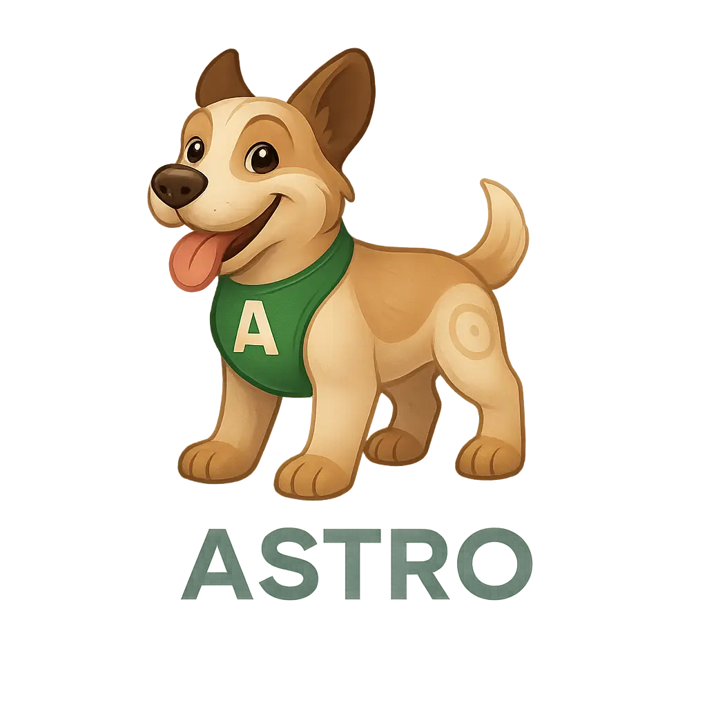Astro Guide Image